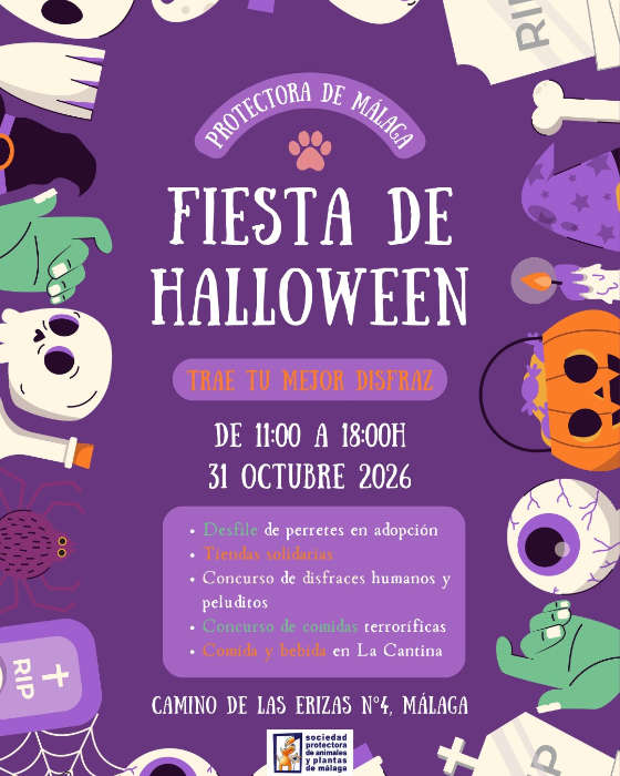 Halloween en la Protectora
